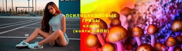 молекула духа Алексеевка