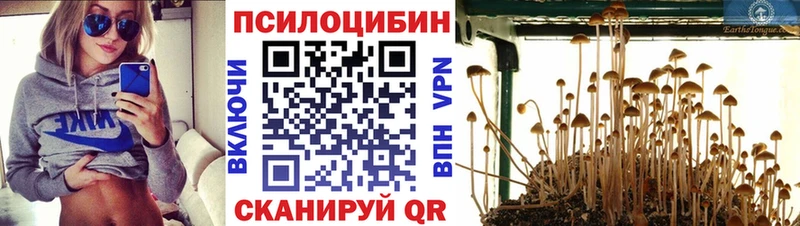 Псилоцибиновые грибы ЛСД  Орлов 